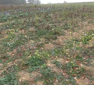 Erlebnisbauernhof und Wildgehege