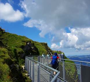 Am Rundgang