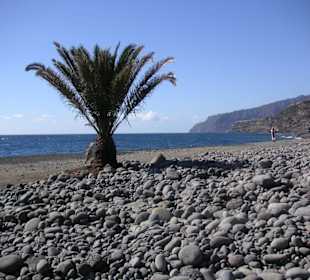Playa Nueva