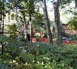 Monte Palace Tropical Garden
