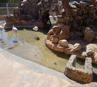 Außenanlage im Grand Aquarium. 