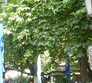 Biergarten am Viktualienmarkt; ca. 1000 Sitzplätze