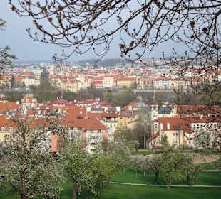 Der Weg in die Stadt