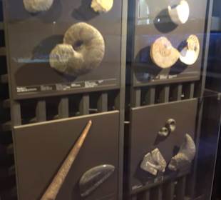 Jura-Museum