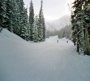 Lake Louise, Larch Area
