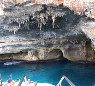 Glasbodenboot Touren
