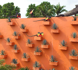 Noong Nooch Village Garden und Resort