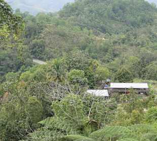 Ausflug Wildfife Expeditions- Rastplatz