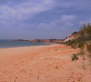 Man kann ewig laufen