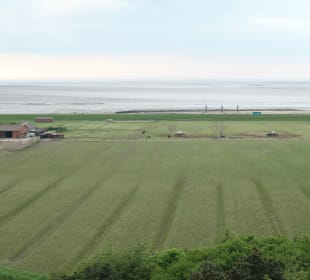 Ausblick vom Neuwerker Leuchtturm