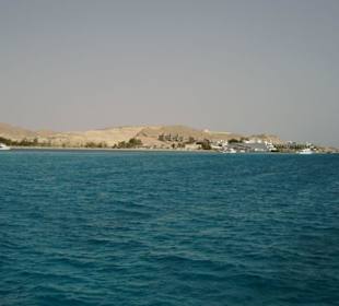 Mahmya