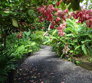 Impressionen vom Jardin des Parfums et des Epices