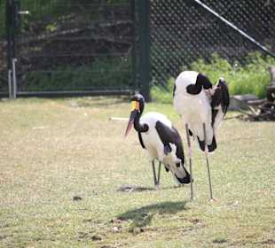 ZOOM Erlebniswelt Gelsenkirchen