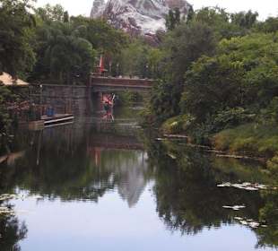 Blick auf den Expedition Everest Moutain
