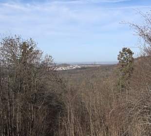 Weinbergturm