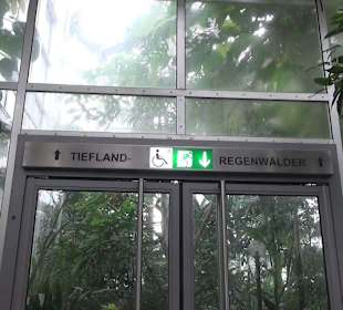 Tropicarium - Feuchte Tropen