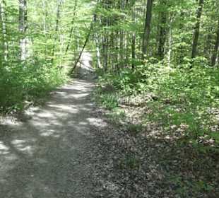 Wanderweg Hochgehwachsen