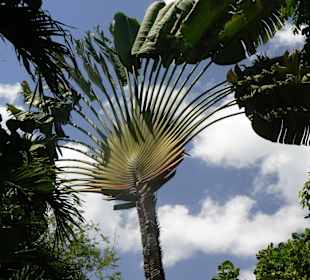 Botanischer Garten