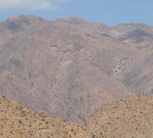 Mit etwas Fantasie erkennt man den Löwenkopf 