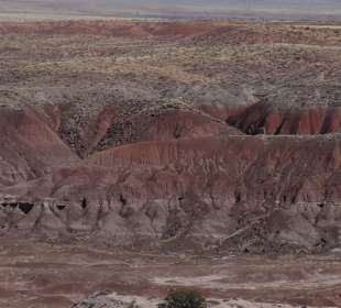 Painted Desert _вид20