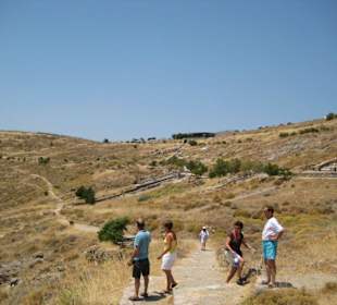 Versteinerter Wald Motiv 3