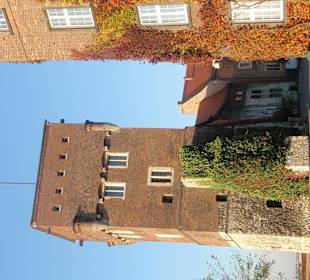 Zamek Królewski Wawel