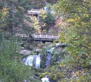 Triberger Wasserfälle