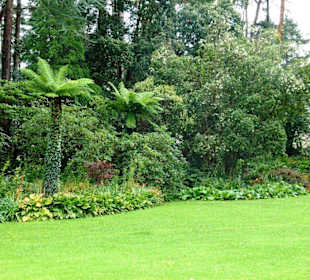 Palmen in Glenveagh Castle
