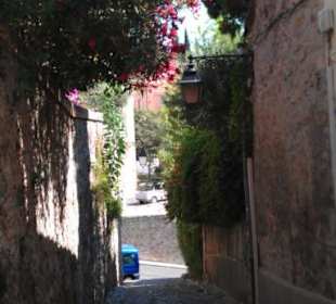 Rue 