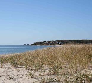 Strand / Dünen Cape Cod