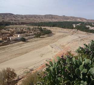 Ehemaliges Flussbett in Tamerza