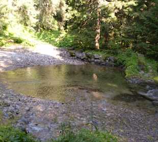 Tatrzański Park Narodowy