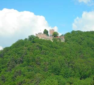 Blick auf die Burg Landeck