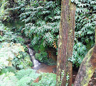 Caldeira Velha