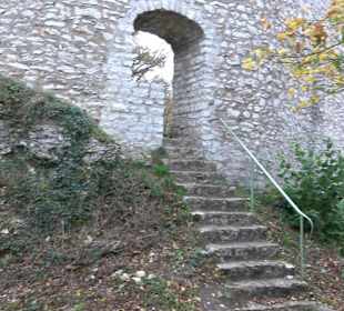 Ruine Rauber 