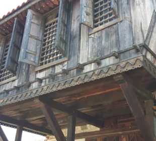 Ali's Ausflüge Avsallar