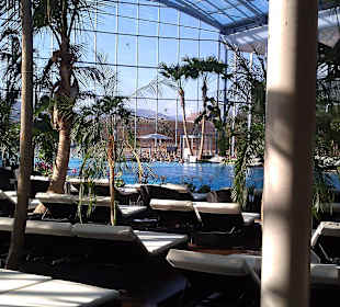 Sommer pur im Winter