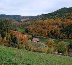 Wandern Gengenbach