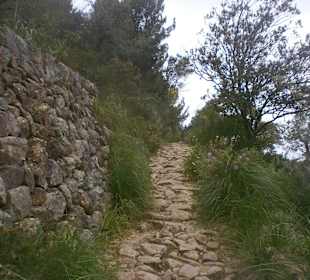 Wandern Puerto de Soller