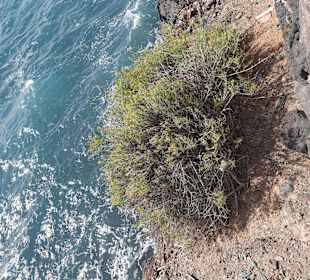Interranter Blick von der Promenade 