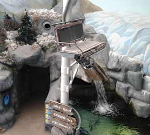 Eingangsbereich von Oben