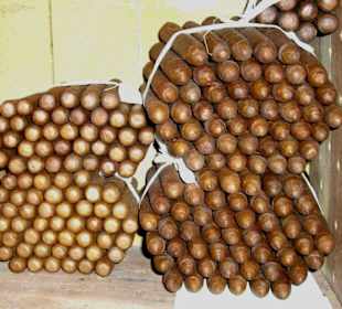 Reynaldos selbstgedrehte Cigarren