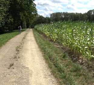 Hochgehnießen - Premiumspazierwanderweg