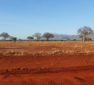 Die Erde ist wirklich so rot!