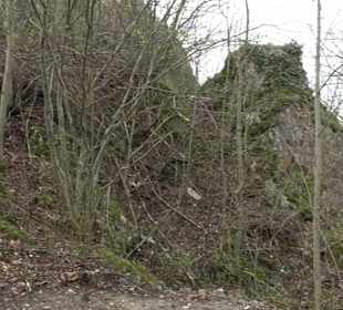 Wanderung rund um das Rusenschloss Gerhausen