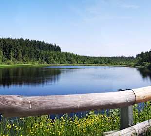 Wandern Liebenau