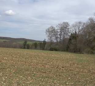 Vulkankrater-Rundweg Apfelstetten