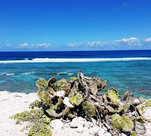 Ausblick aufs Meer von Light House