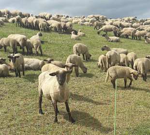 Wandern Hollern-Twielenfleth