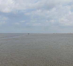 Unterwegs am Strand von SPO (Mai 2016)